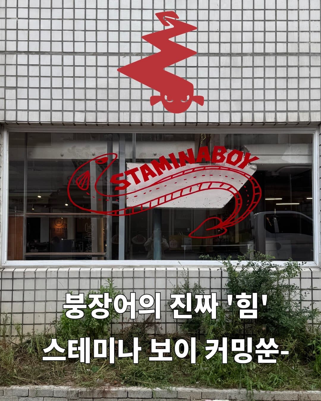 스테미나 보이 통영 장어 팝업 - 이미지 1