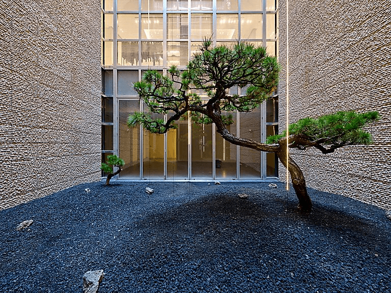 다니엘 스티그만 만그라네 〈산과 친구되기〉 - 이미지 3