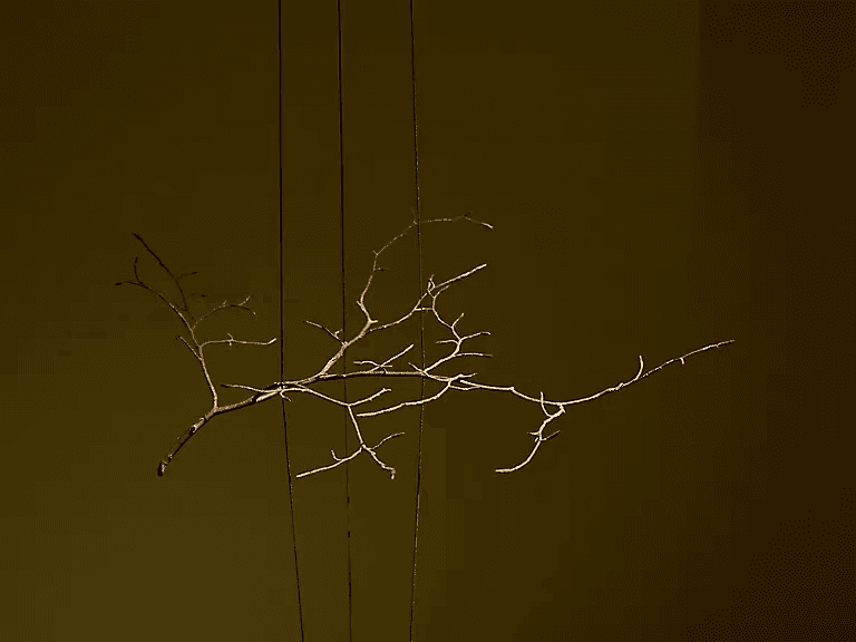 다니엘 스티그만 만그라네 〈산과 친구되기〉 - 이미지 4