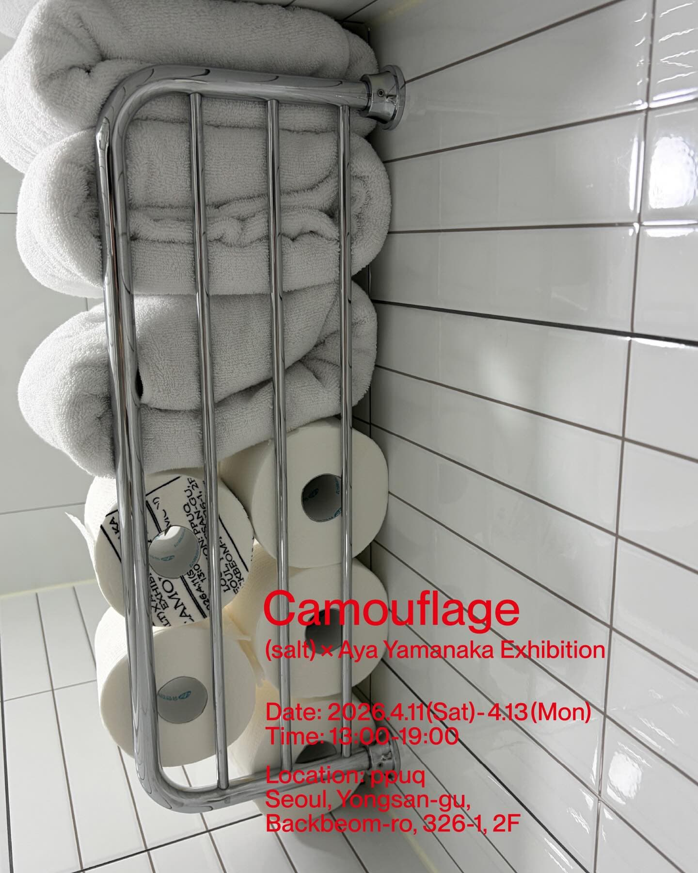 (salt) x Aya Yamanaka 〈Camouflage〉 - 이미지 3