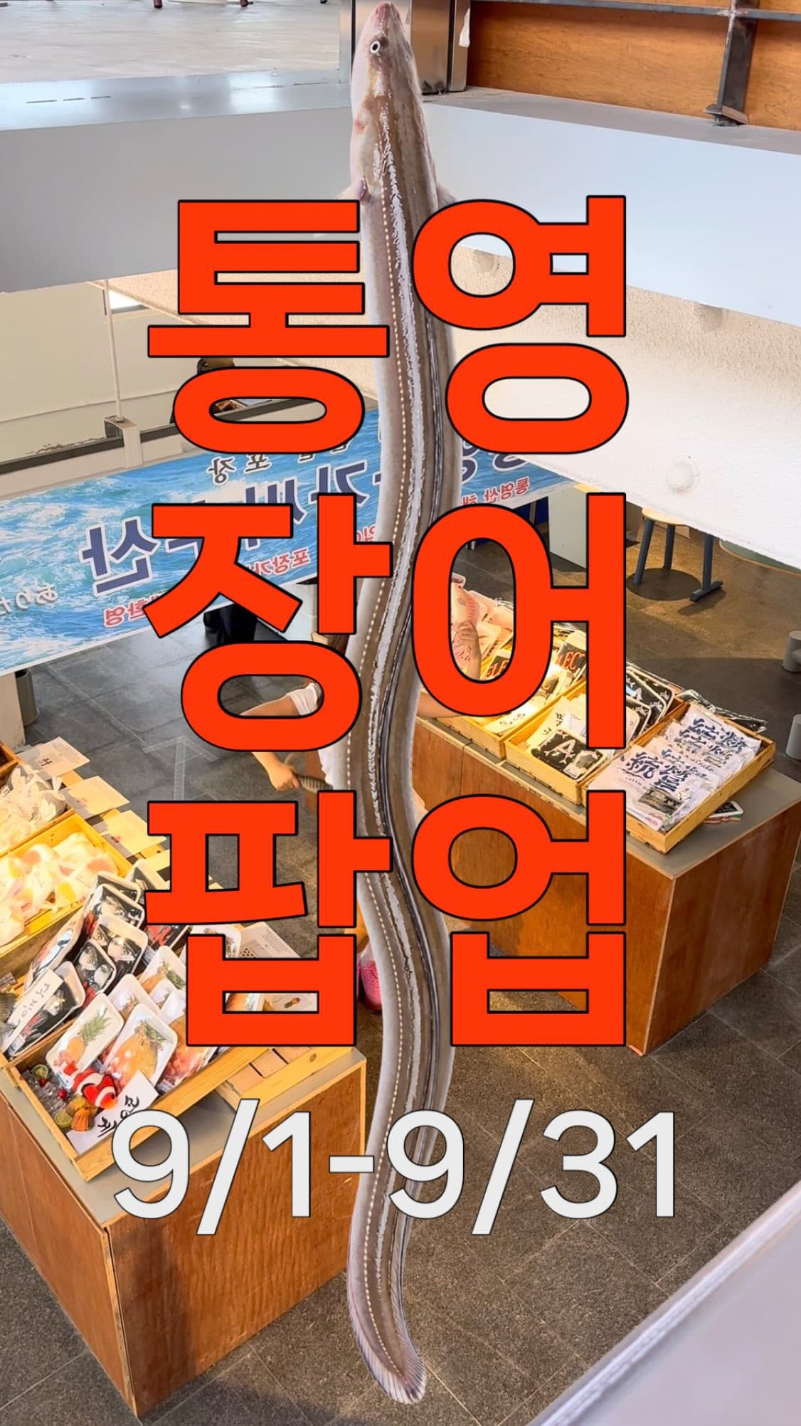 스테미나 보이 통영 장어 팝업 - 이미지 6