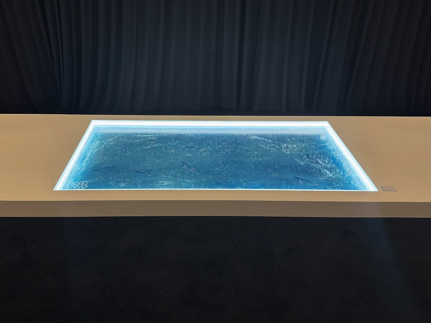 권시우 개인전 〈유영〉 - 이미지 5