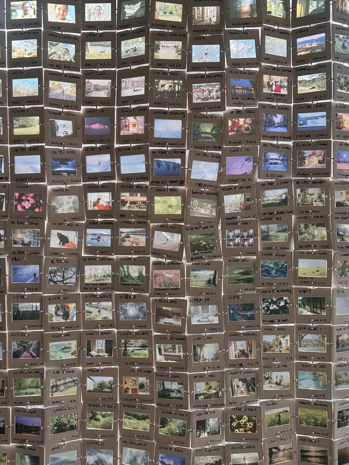 예진문 사진전 〈뿌리의 방〉 - 이미지 3