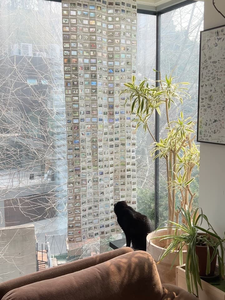 예진문 사진전 〈뿌리의 방〉 - 이미지 4