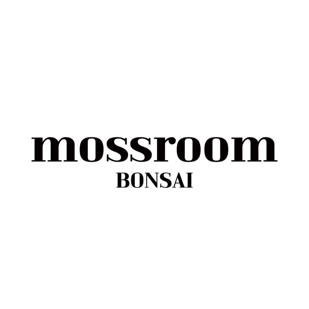 모스룸 분재 팝업 - 이미지 3