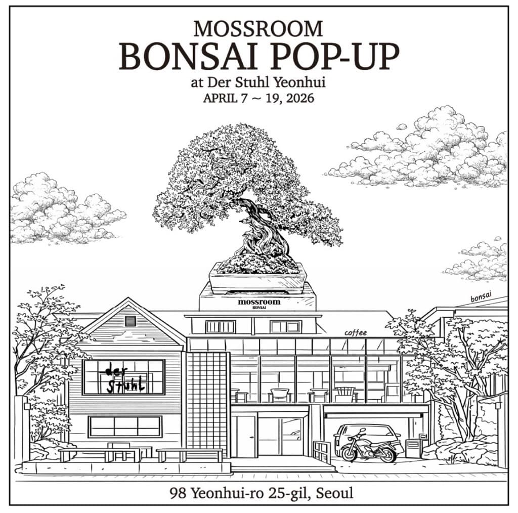 모스룸 분재 팝업 - 이미지 1